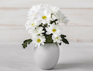 Imagem de flores Branca